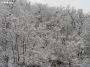 neve (01)